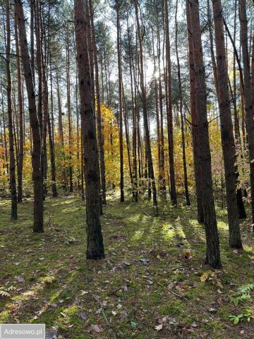 Działka budowlana Książenice, al. Brzozowa. Zdjęcie 1