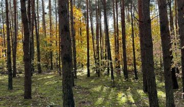 Działka budowlana Książenice, al. Brzozowa