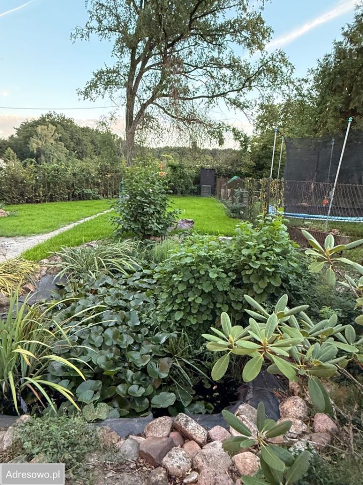 dom wolnostojący, 6 pokoi Kluczbork, ul. Kwiatowa. Zdjęcie 7