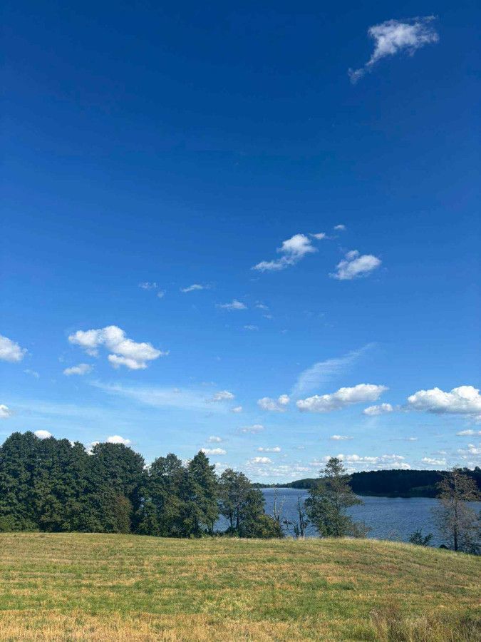 Działka rolno-budowlana Bienie. Zdjęcie 7