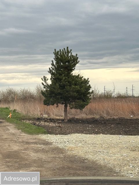 Działka budowlana Suchy Dwór, ul. Dworska. Zdjęcie 9