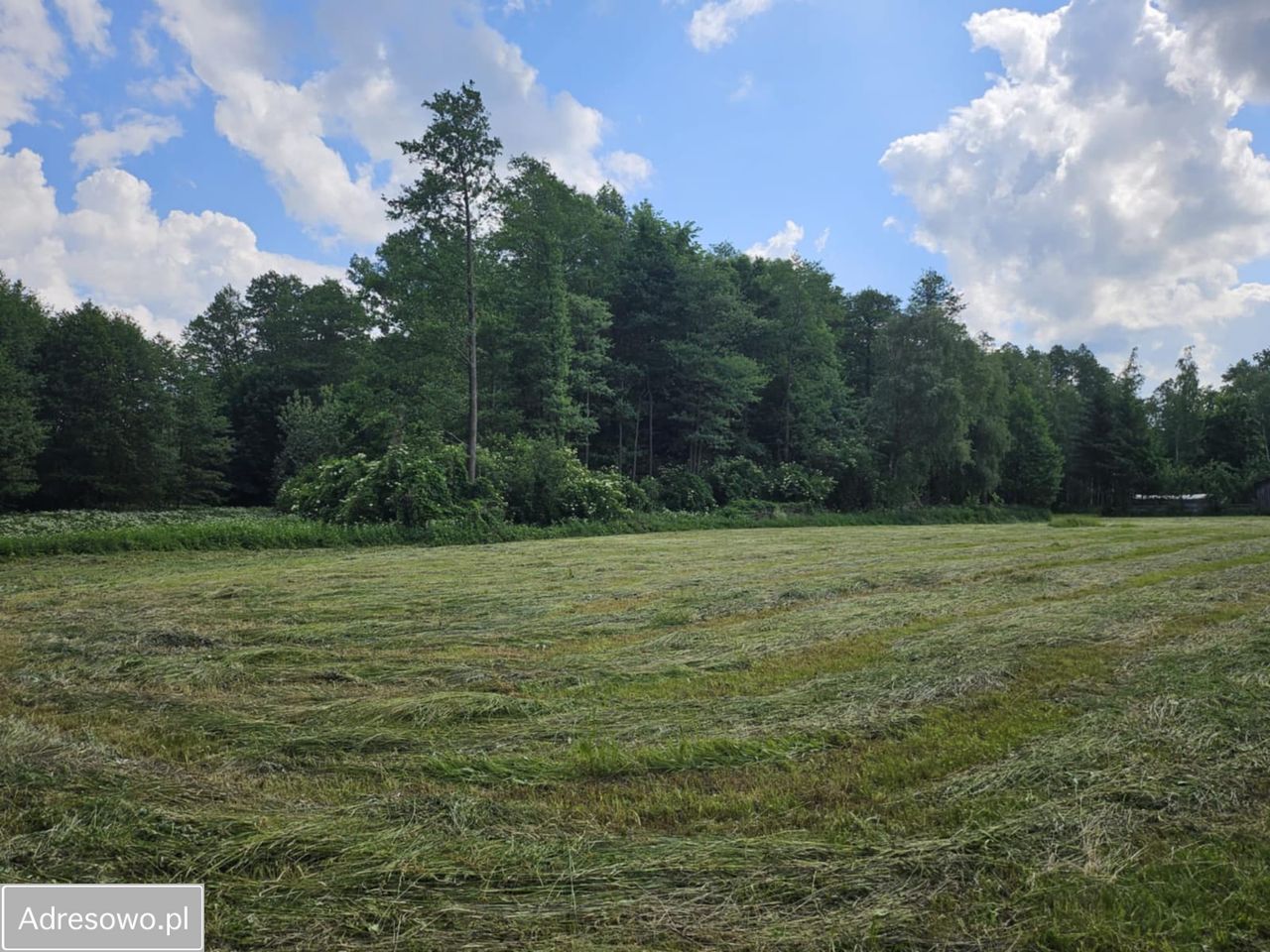 dom wolnostojący, 5 pokoi Pasynki. Zdjęcie 5