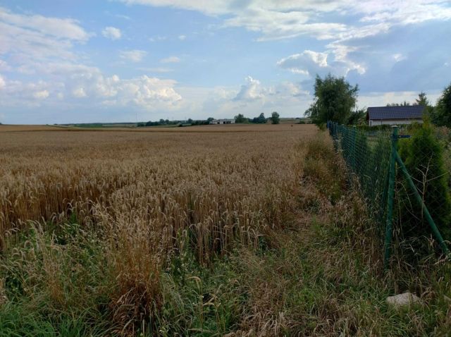 Działka rekreacyjna Miłachówek. Zdjęcie 1