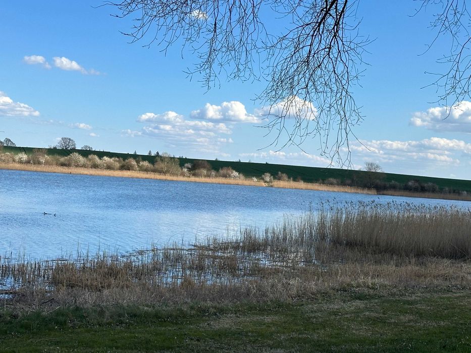 Działka budowlana Gorzuchowo. Zdjęcie 2