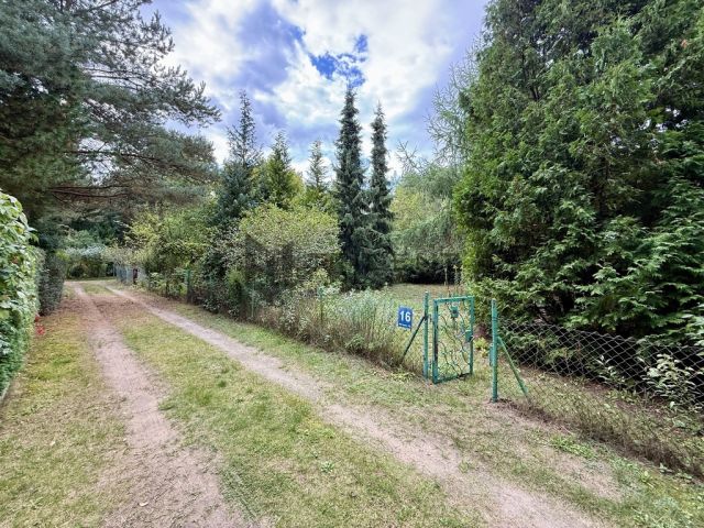 Działka rekreacyjna Kajetany. Zdjęcie 3