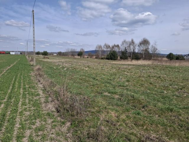 Działka budowlana Górno, ul. Łysogórska. Zdjęcie 1