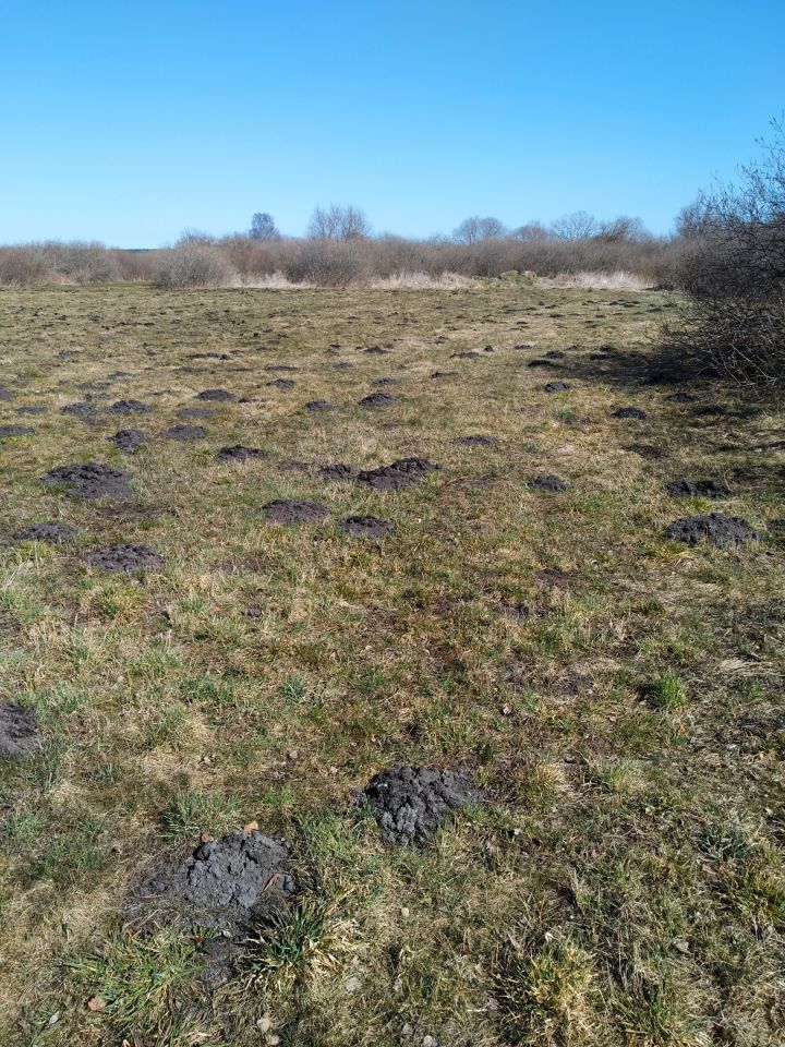 Działka rolna Mieroszyno, ul. Starowiejska. Zdjęcie 9