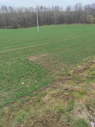 Działka inwestycyjna Bistuszowa. Zdjęcie 1