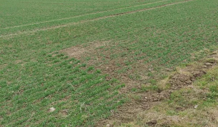 Działka inwestycyjna Bistuszowa
