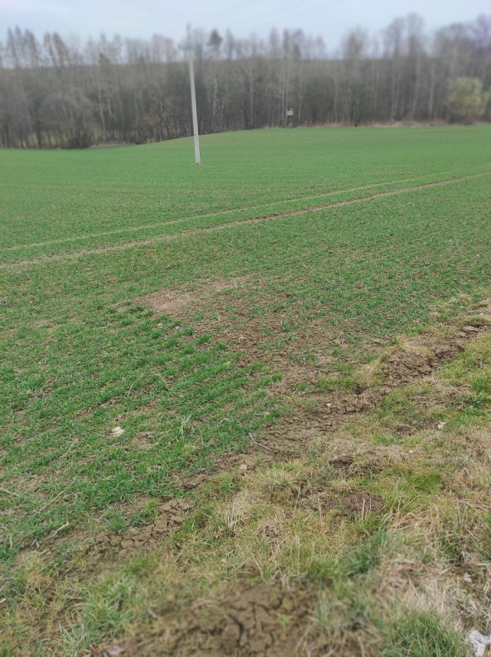 Działka inwestycyjna Bistuszowa. Zdjęcie 1