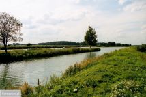 Działka rolna Dziedzice. Zdjęcie 1