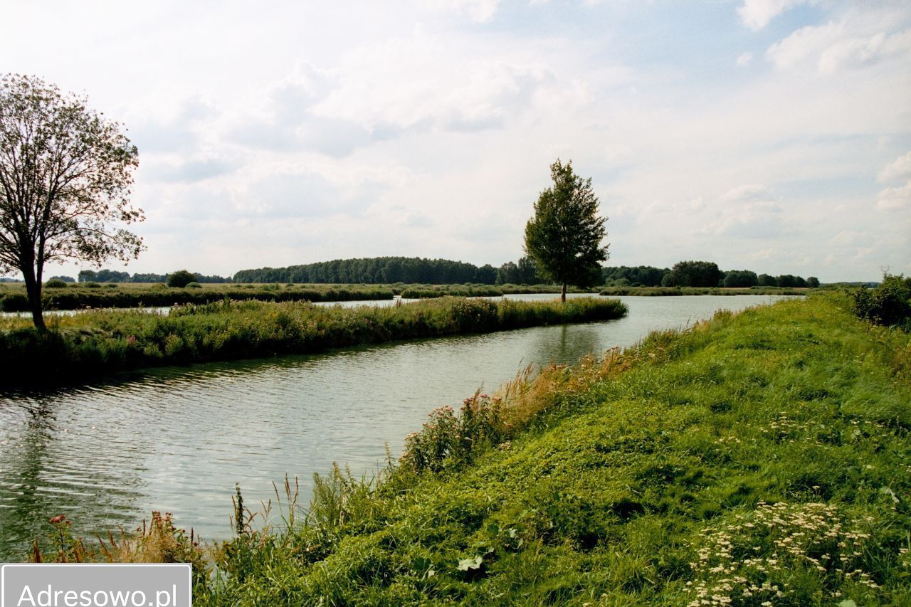 Działka rolna Dziedzice. Zdjęcie 2