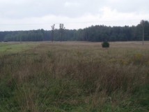 Działka rolno-budowlana Rokitno Szlacheckie Laskowa, ul. Tadeusza Kościuszki. Zdjęcie 1