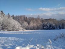 Działka budowlana Paszków. Zdjęcie 1