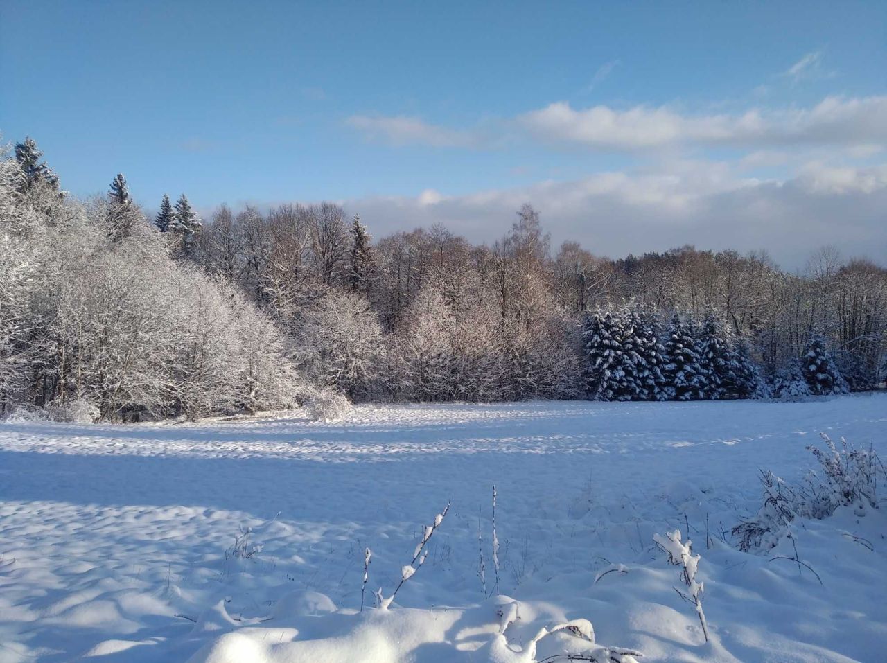 Działka budowlana Paszków. Zdjęcie 2