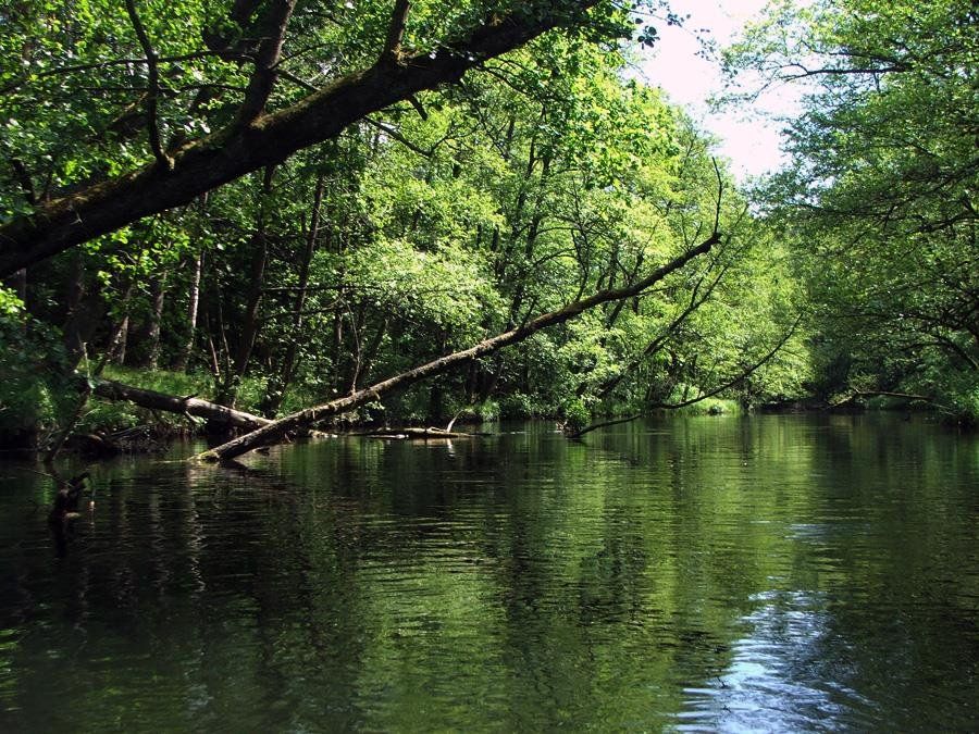 Biuro Niedalino. Zdjęcie 34