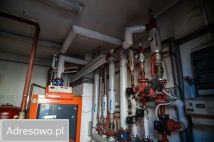 kamienica Piotrków Trybunalski Śródmieście, al. 3 Maja. Zdjęcie 2