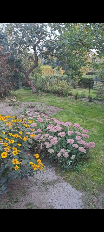 Działka rod Milanówek Turczynek, ul. Turczynek. Zdjęcie 7