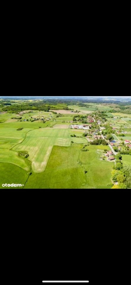 Działka rolno-budowlana Podleśna. Zdjęcie 3