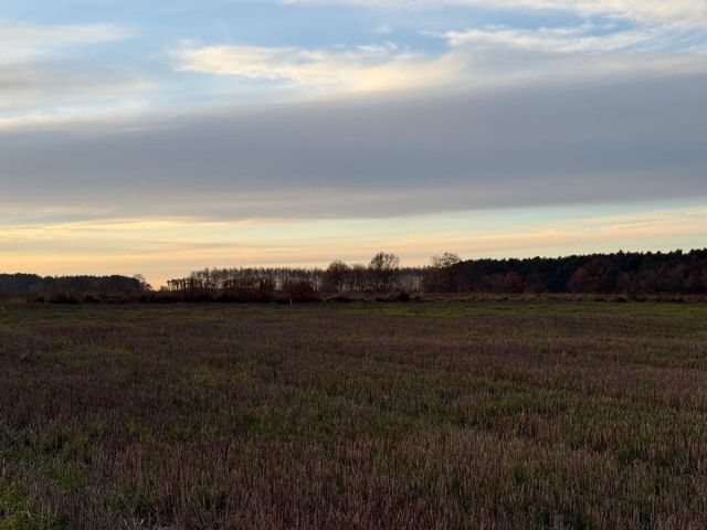 Działka rolna Oleśniczka. Zdjęcie 14