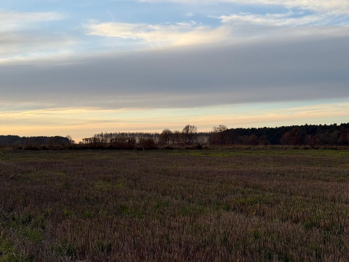 Działka rolna Oleśniczka. Zdjęcie 14