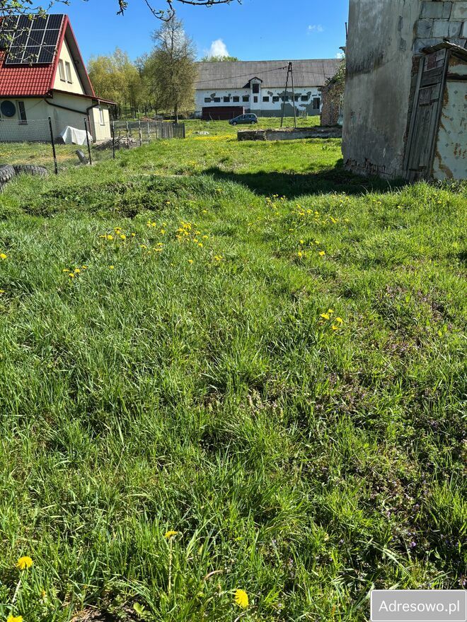 Działka budowlana Ożenna. Zdjęcie 10