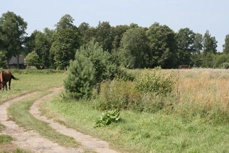 Działka rolno-budowlana Lesznowola, ul. Kolejowa. Zdjęcie 3