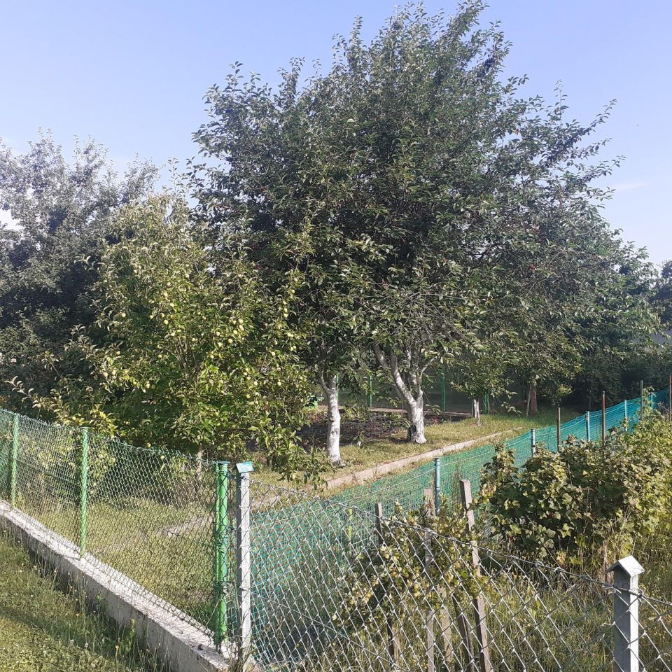 Działka rod Grzybiany, ul. Legnicka. Zdjęcie 9