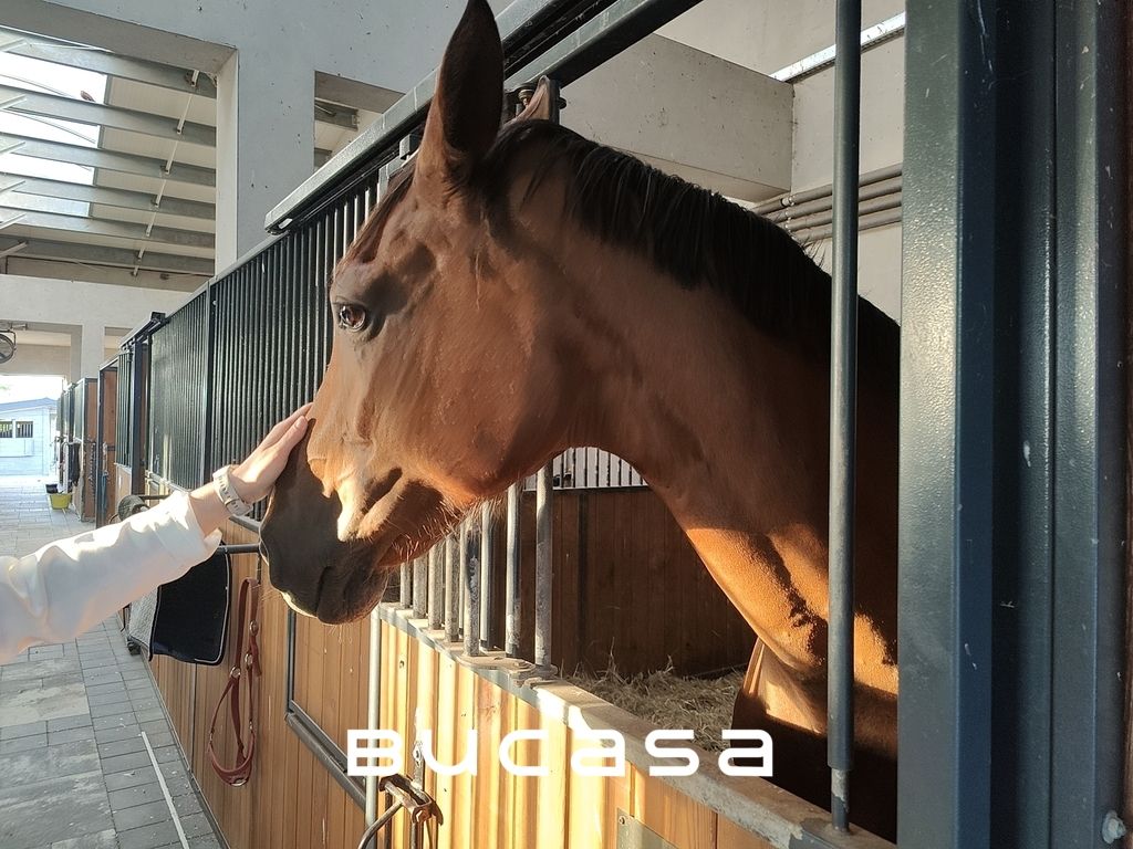 Nieruchomość komercyjna Zabierzów Bocheński. Zdjęcie 10