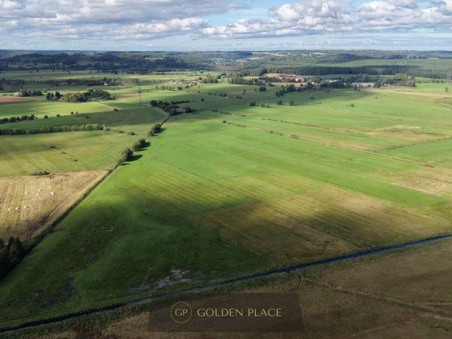 Działka rolna Kniewo. Zdjęcie 12
