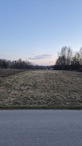 Działka rolna Wysoka. Zdjęcie 1