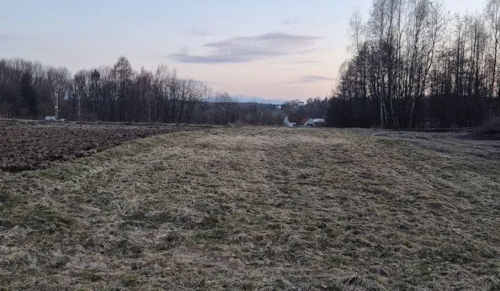 Działka rolna Wysoka