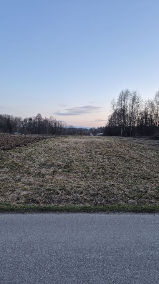 Działka rolna Wysoka. Zdjęcie 1