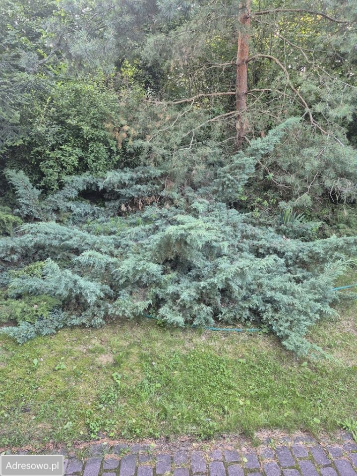 Działka budowlana Pruszków, ul. Wysoka. Zdjęcie 2