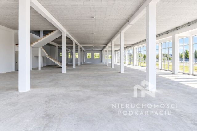 Lokal Kraczkowa. Zdjęcie 11
