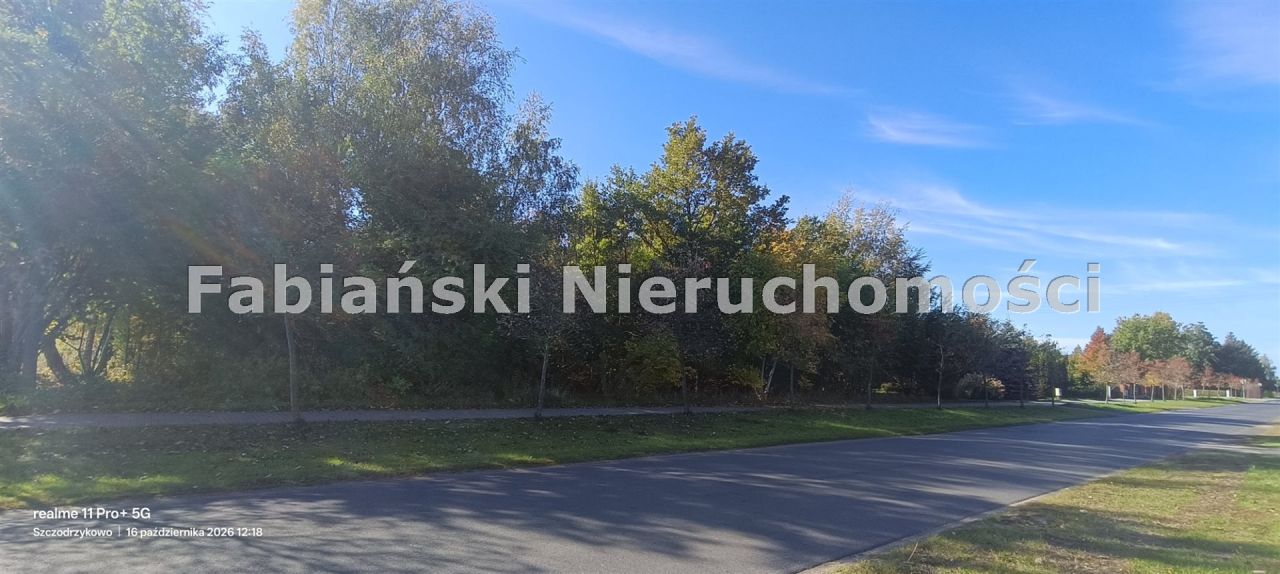 Działka inwestycyjna Dachowa. Zdjęcie 3