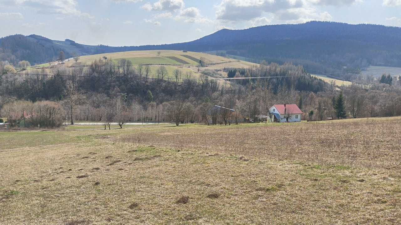 Działka rolno-budowlana Kąty. Zdjęcie 2