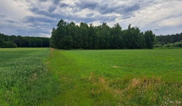 Działka budowlana Policzna