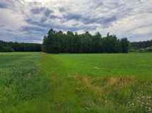 Działka budowlana Policzna