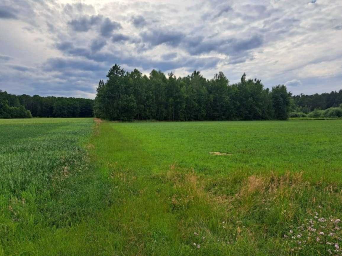 Działka budowlana Policzna