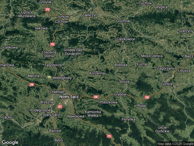 Działka leśna Korzenna. Zdjęcie 1