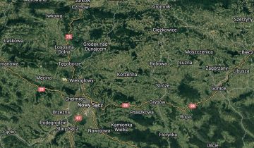 Działka leśna Korzenna