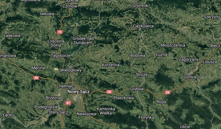 Działka leśna Korzenna