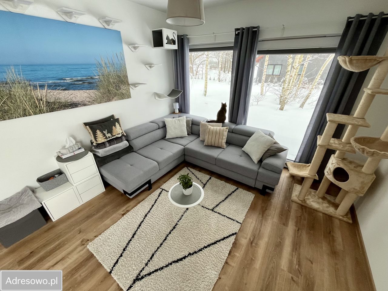 dom wolnostojący, 4 pokoje Domachowo. Zdjęcie 12