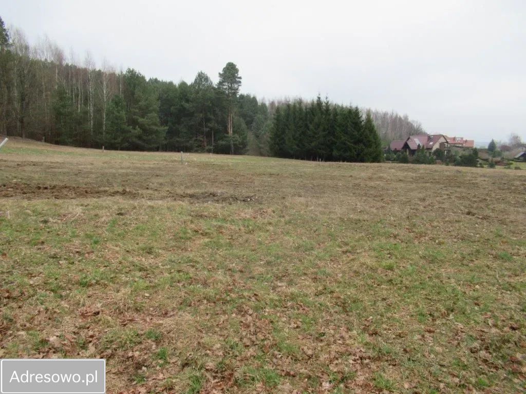 Działka budowlana Majdy, ul. Adama i Ewy. Zdjęcie 5
