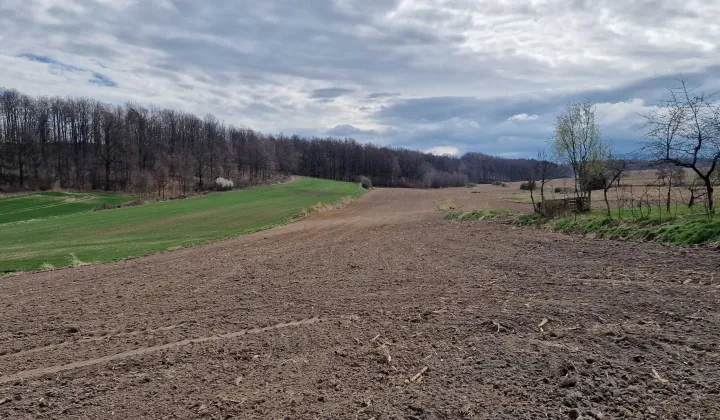 Działka rekreacyjna Łąka