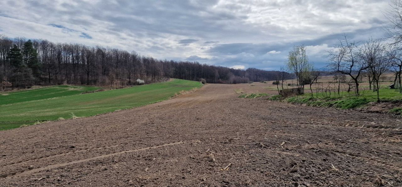 Działka rekreacyjna Łąka. Zdjęcie 1