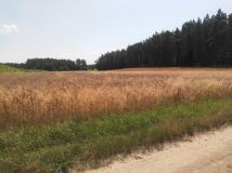 Działka budowlana Wielkie Pułkowo. Zdjęcie 1