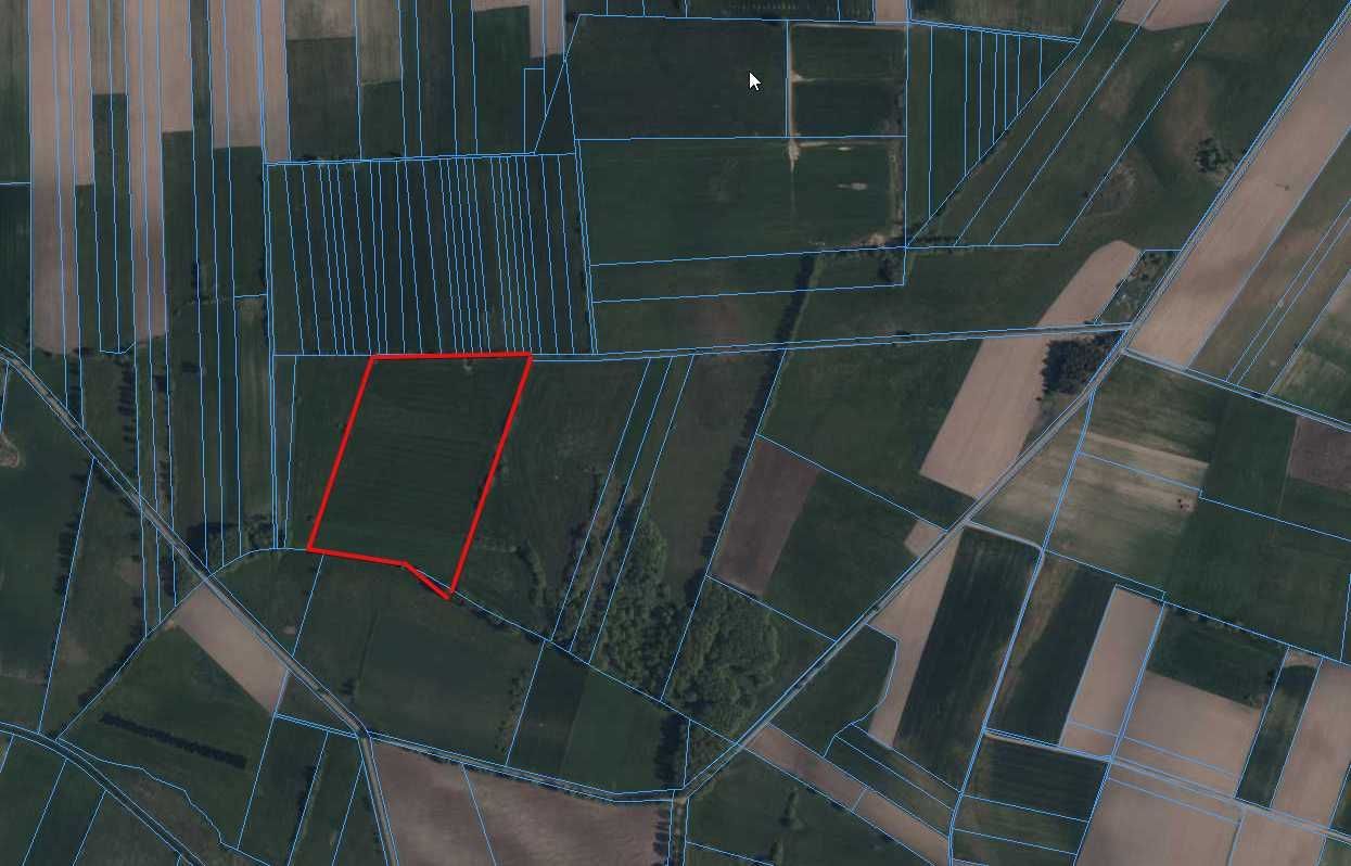 Działka rolna Krzywki-Bratki. Zdjęcie 5