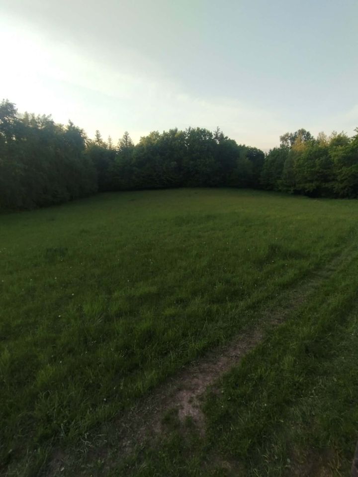 Działka rolna Lubcza Góry. Zdjęcie 3